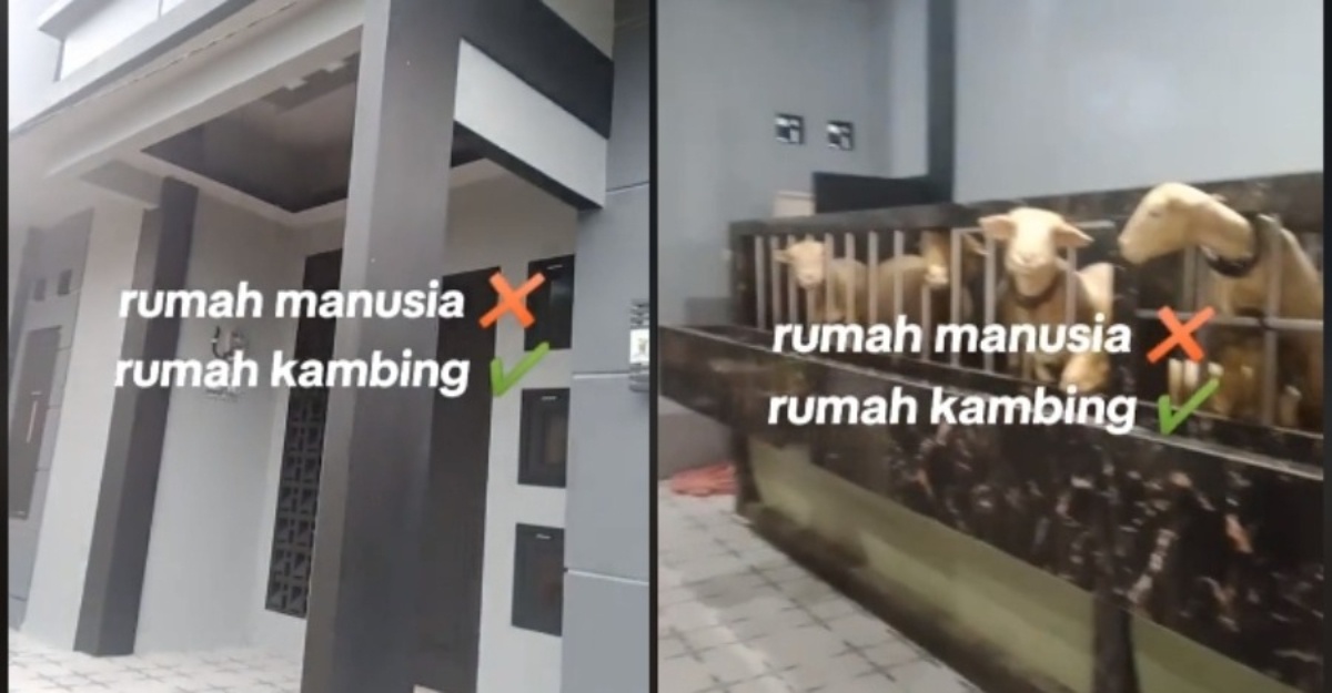 Kandang kambing mewah