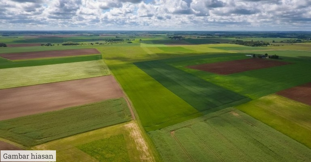 pemilik tanah terbesar dunia