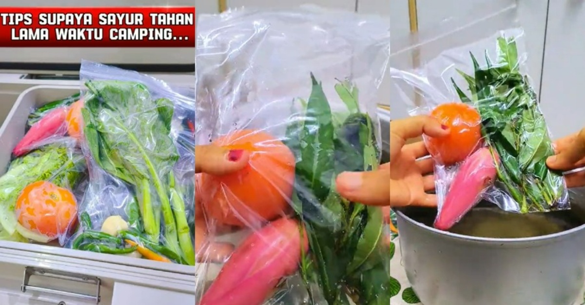 cara simpan sayur camping