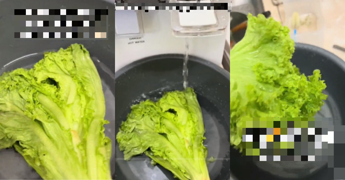 cara segar sayur