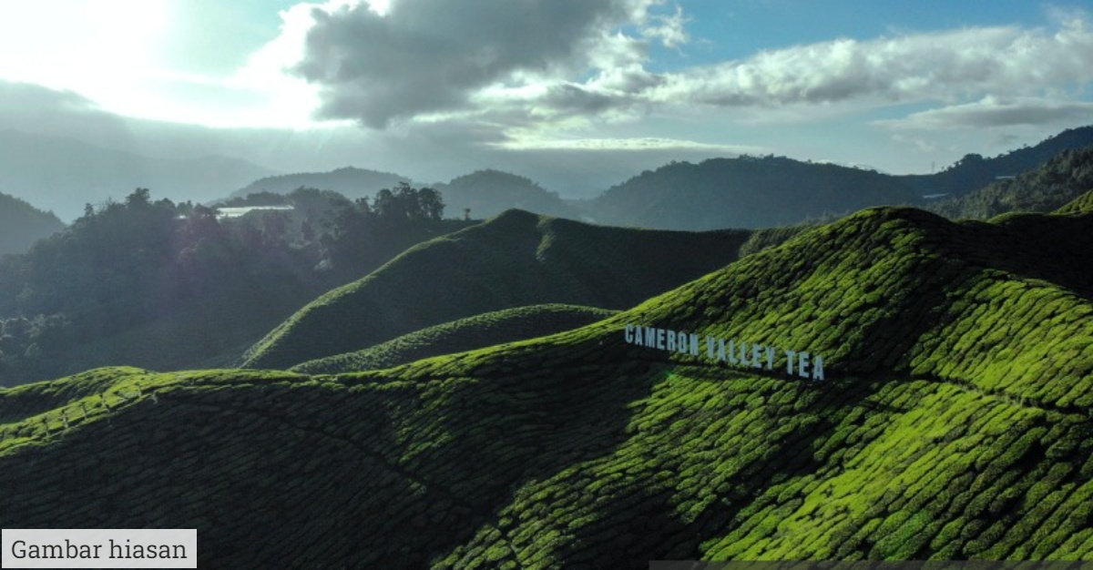 cameron highlands bandar bahagia