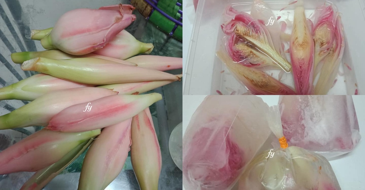 Tip simpan bunga kantan