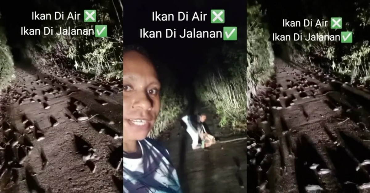 Beratus Ikan Sedang Melompat