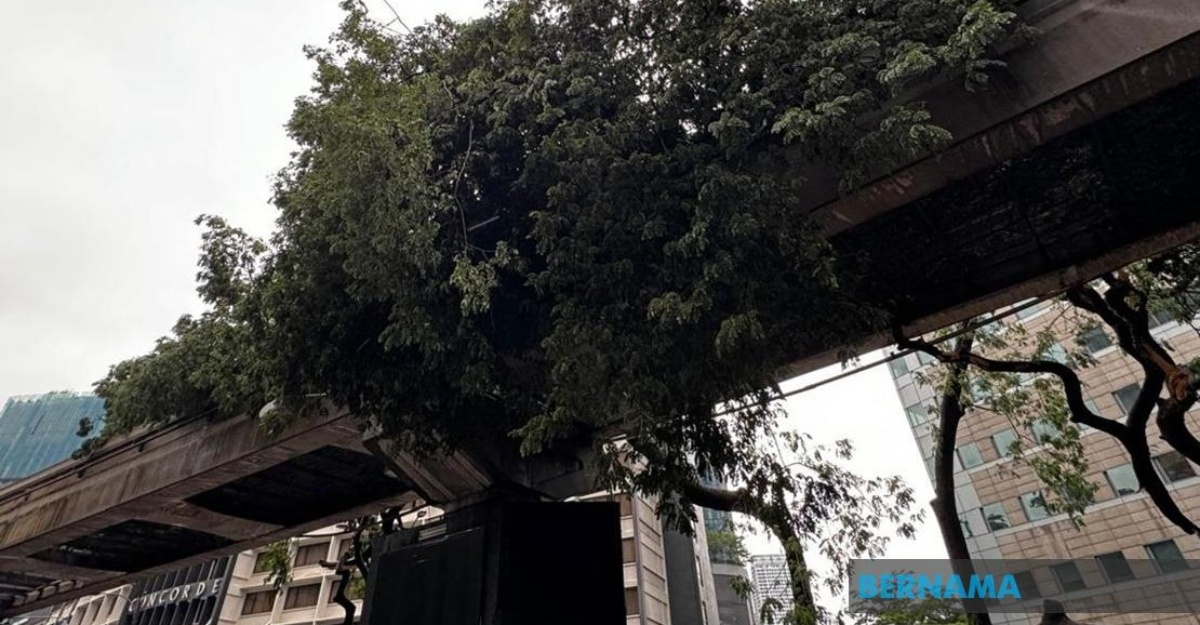 monorel pokok tumbang