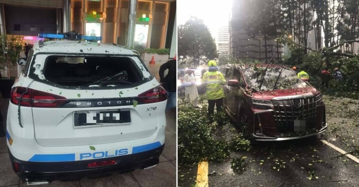 pokok tumbang jalan pinang