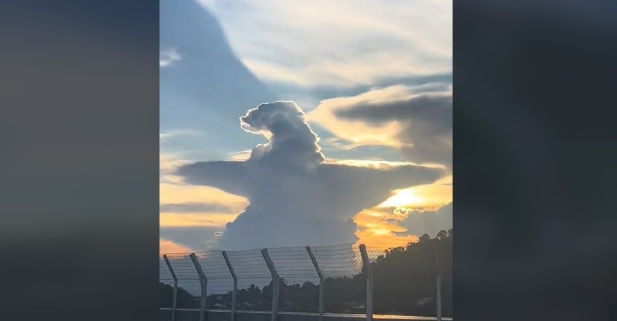 Awan Berbentuk Godzilla