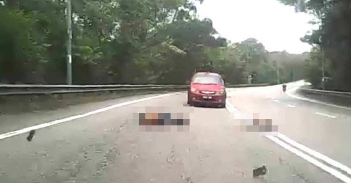 empat beranak dihempap dahan pokok reput
