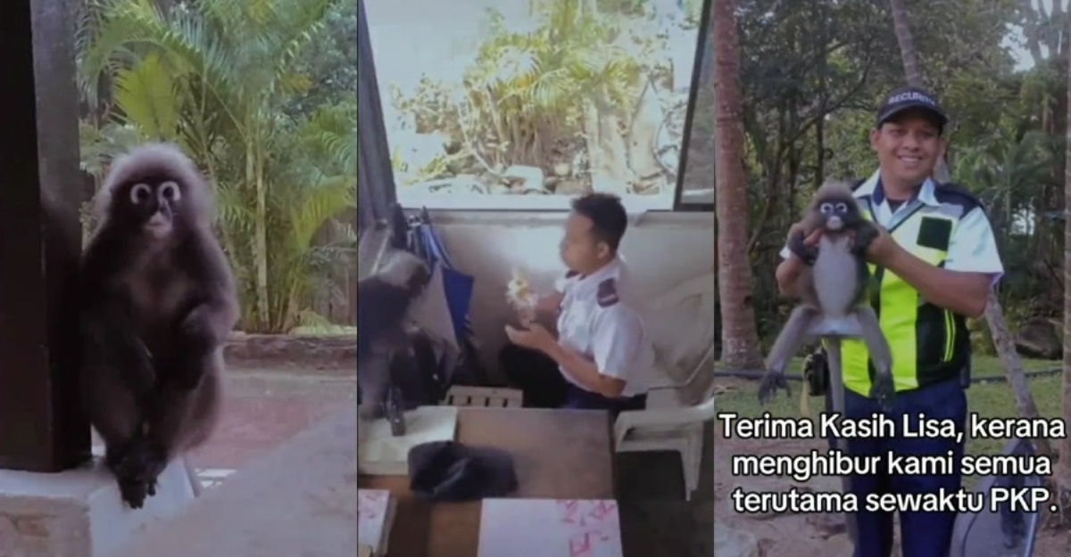 Lutong 'Pencuri Roti' sudah tiada