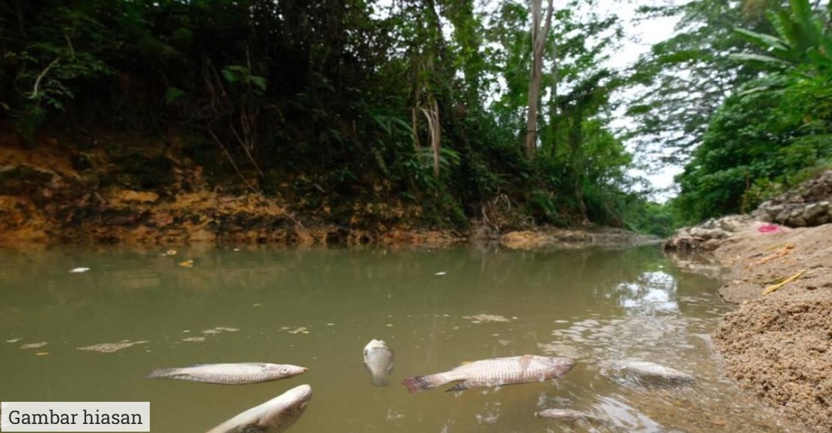 25 sungai tercemar