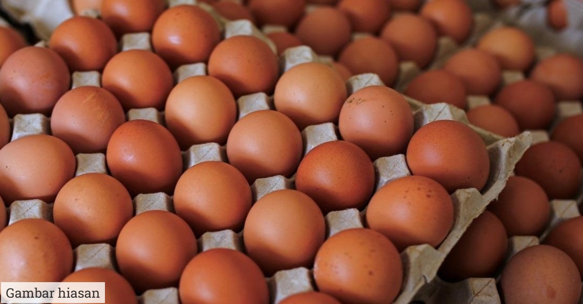 Harga telur turun 3 sen sebiji