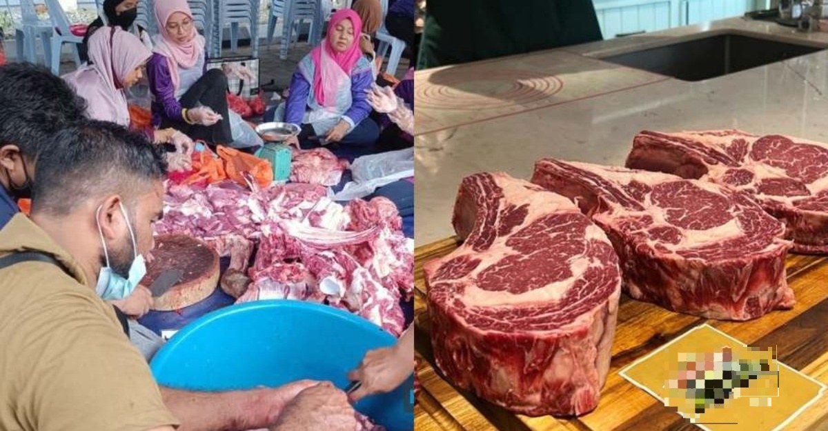 daging korban steak
