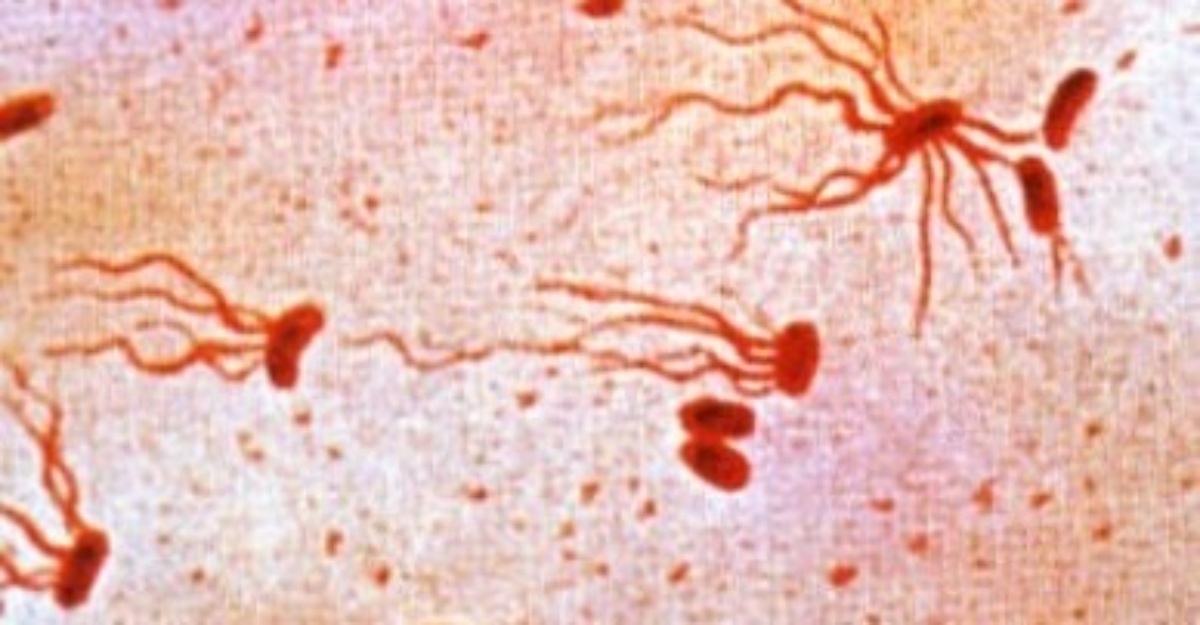 Pelajar sekolah kelantan Tifoid