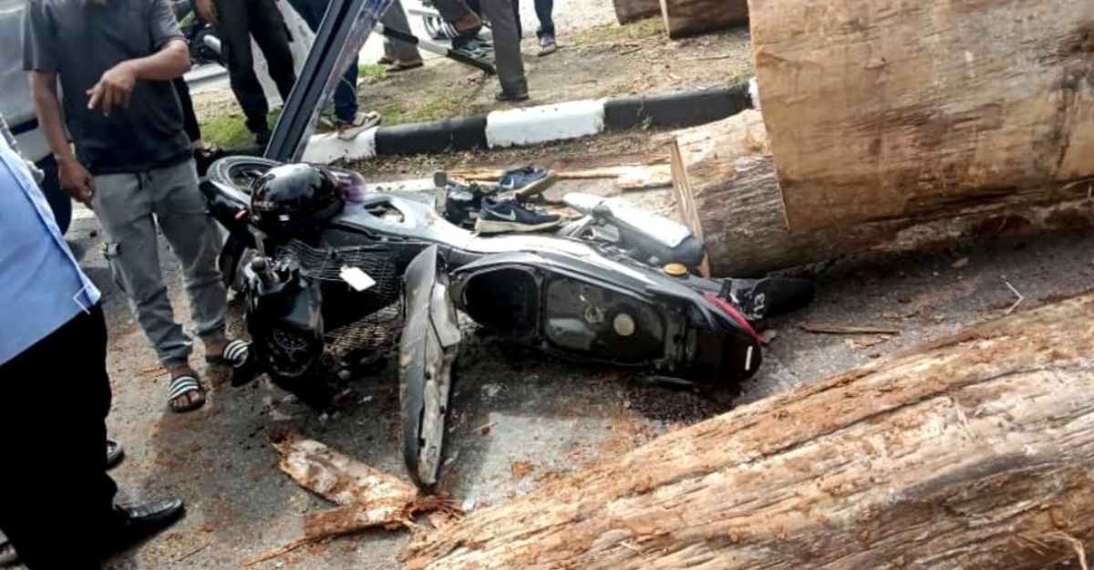 kayu balak lampu isyarat