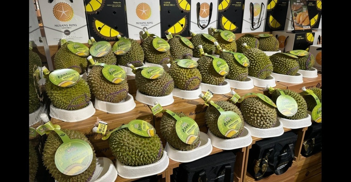 Durian Malaysia Dijual China