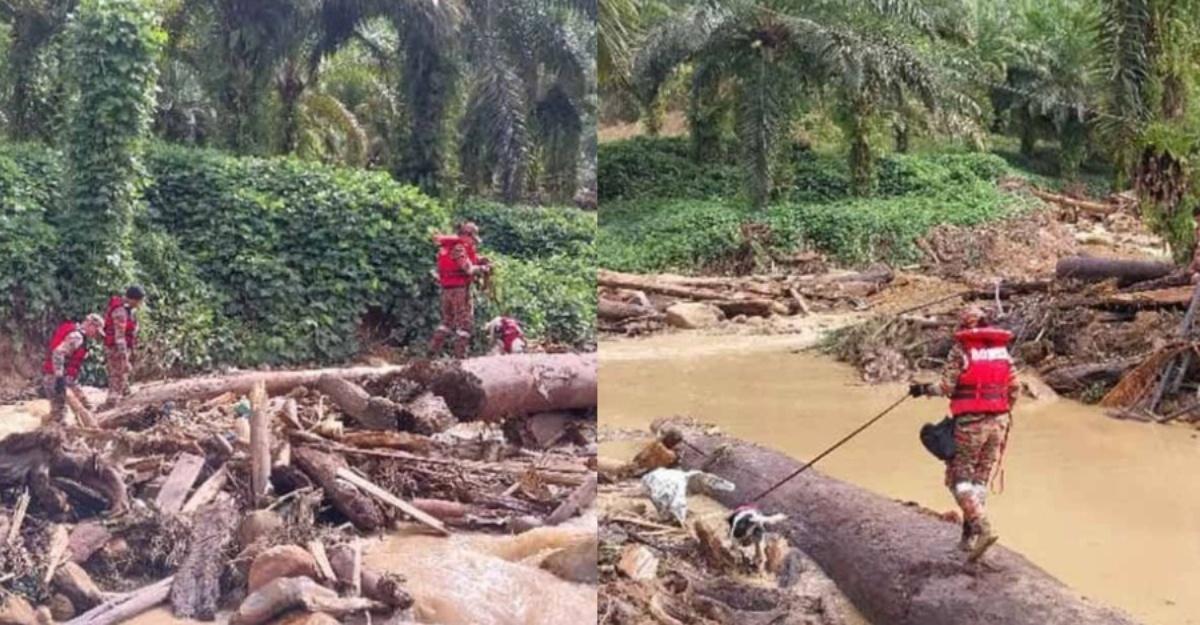 kanak-kanak bayi hanyut