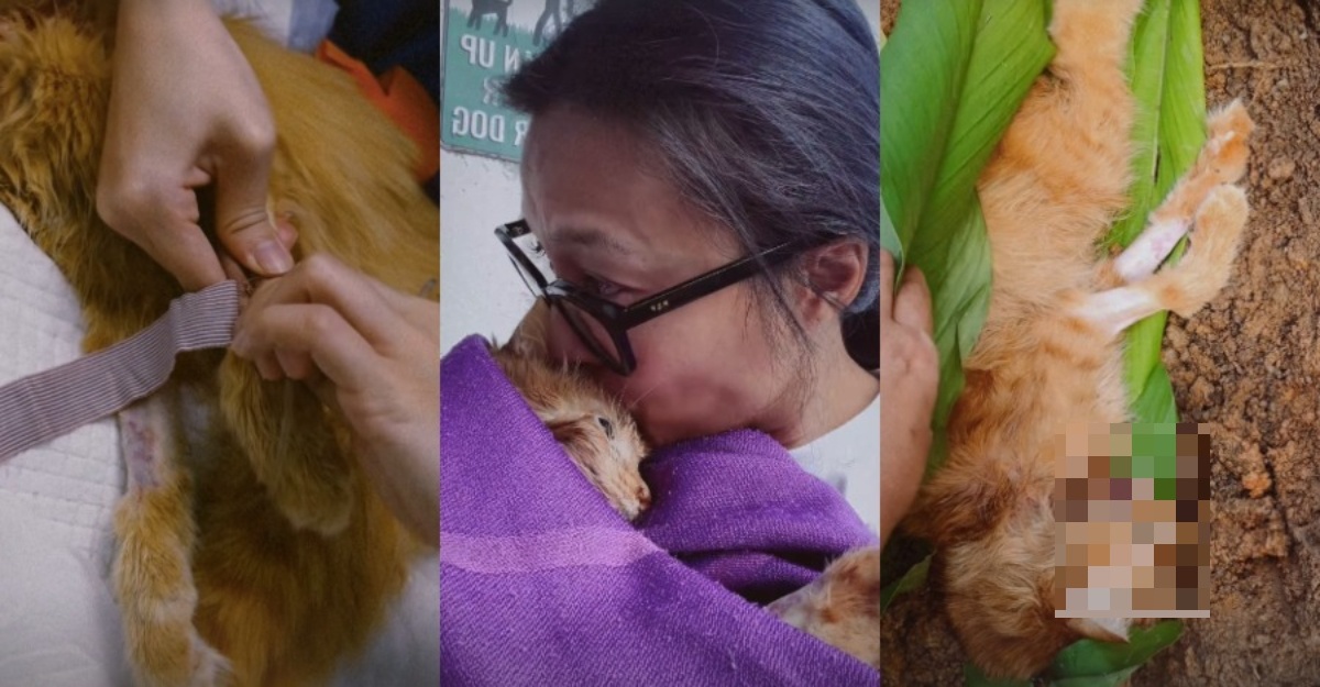 Nabila Huda Kehilangan Aoki