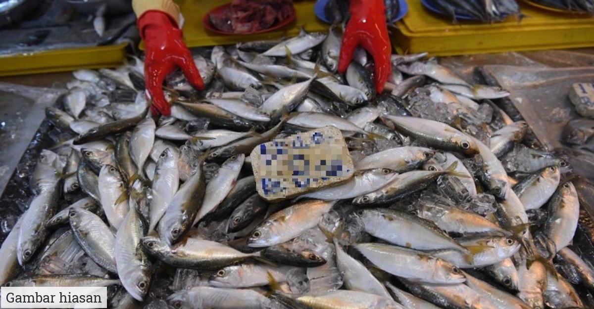 hilangkan bau siang ikan