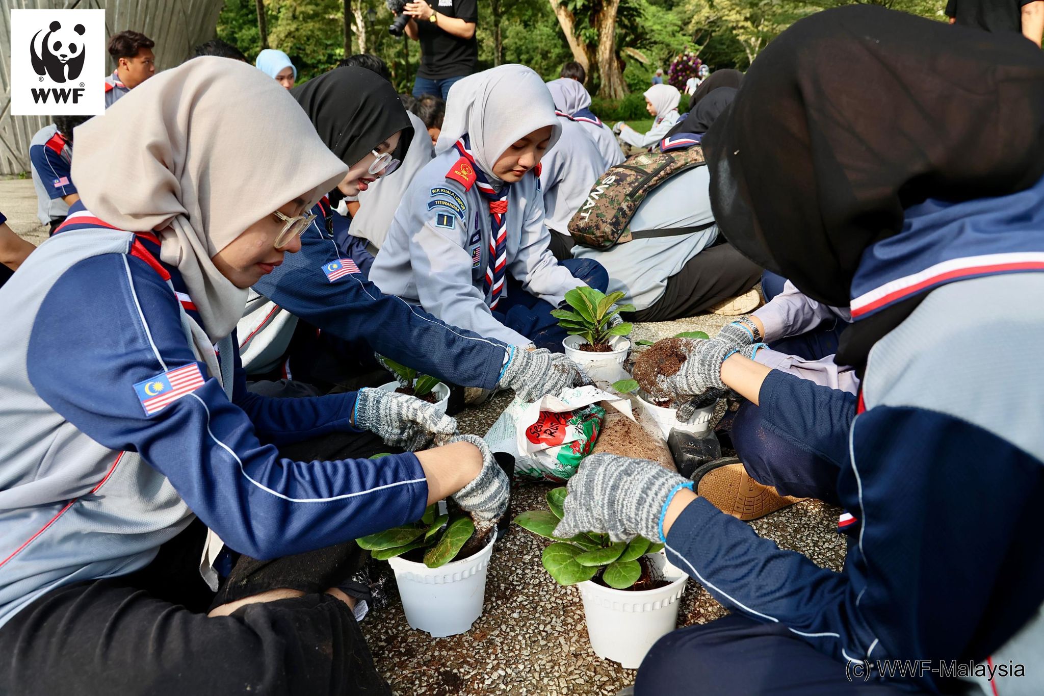 festival alam sekitar