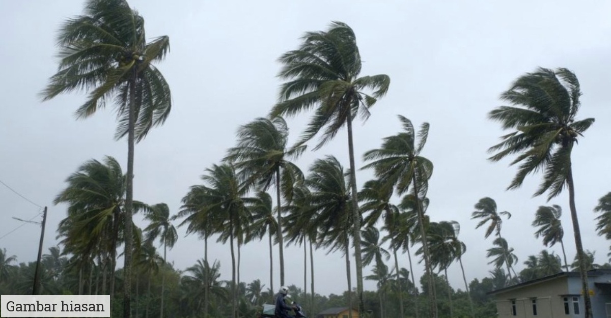 ribut tropika Yinxing