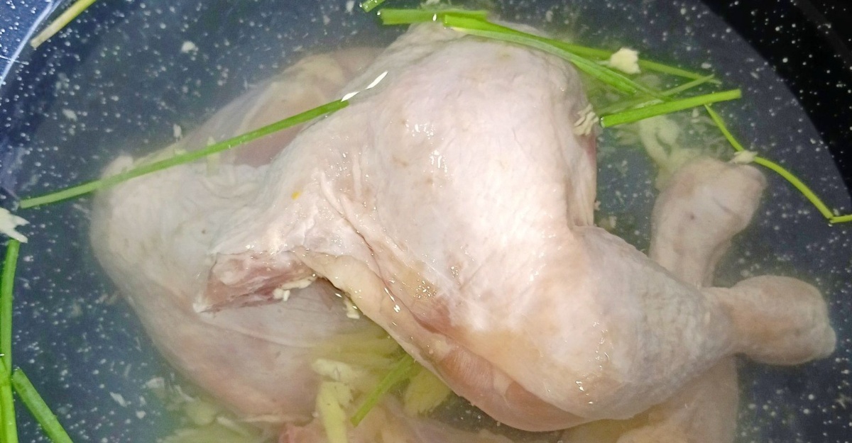 tip simpan ayam