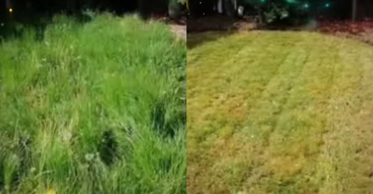 elak lalang cepat naik