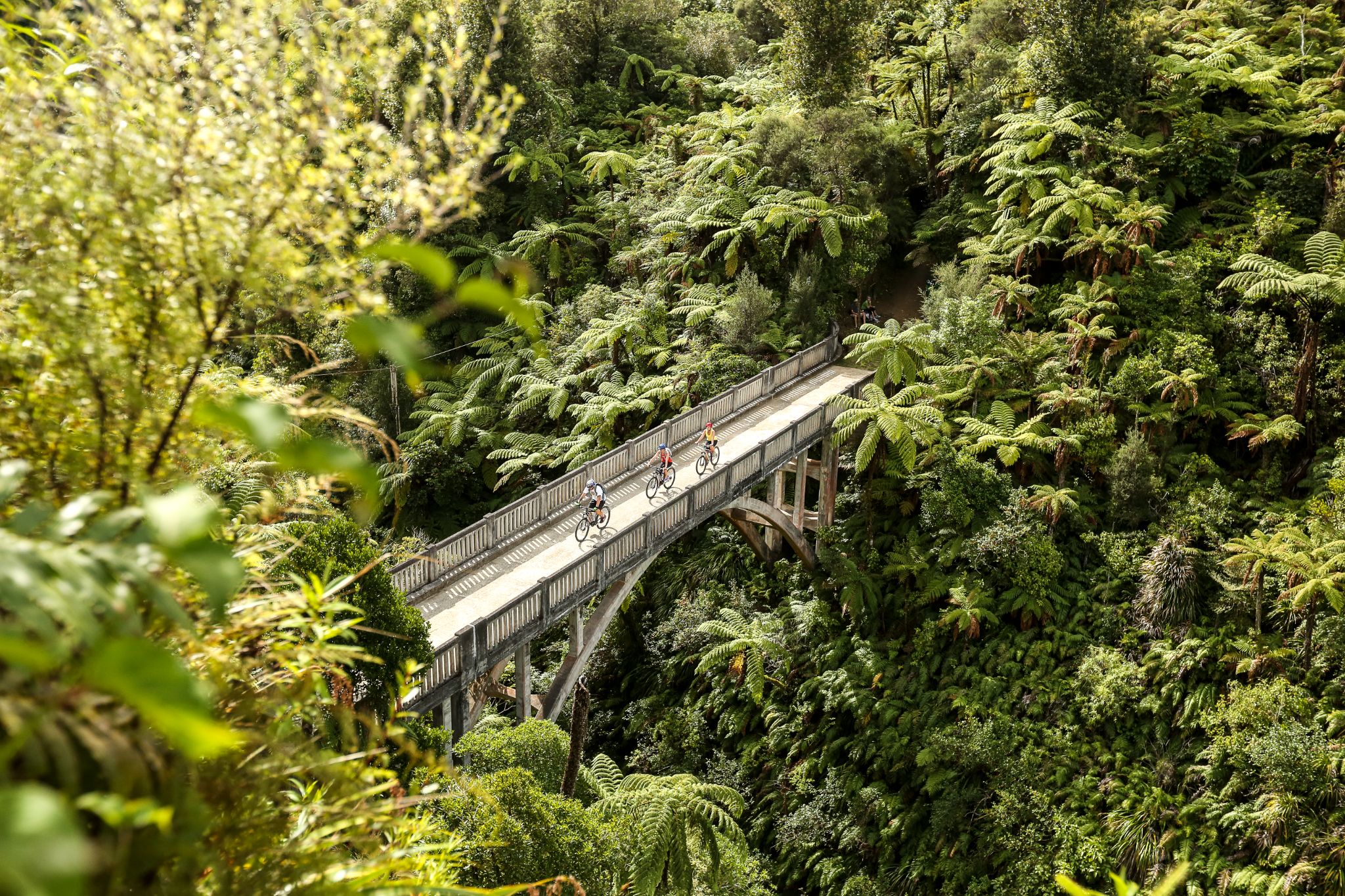 new zealand 2025