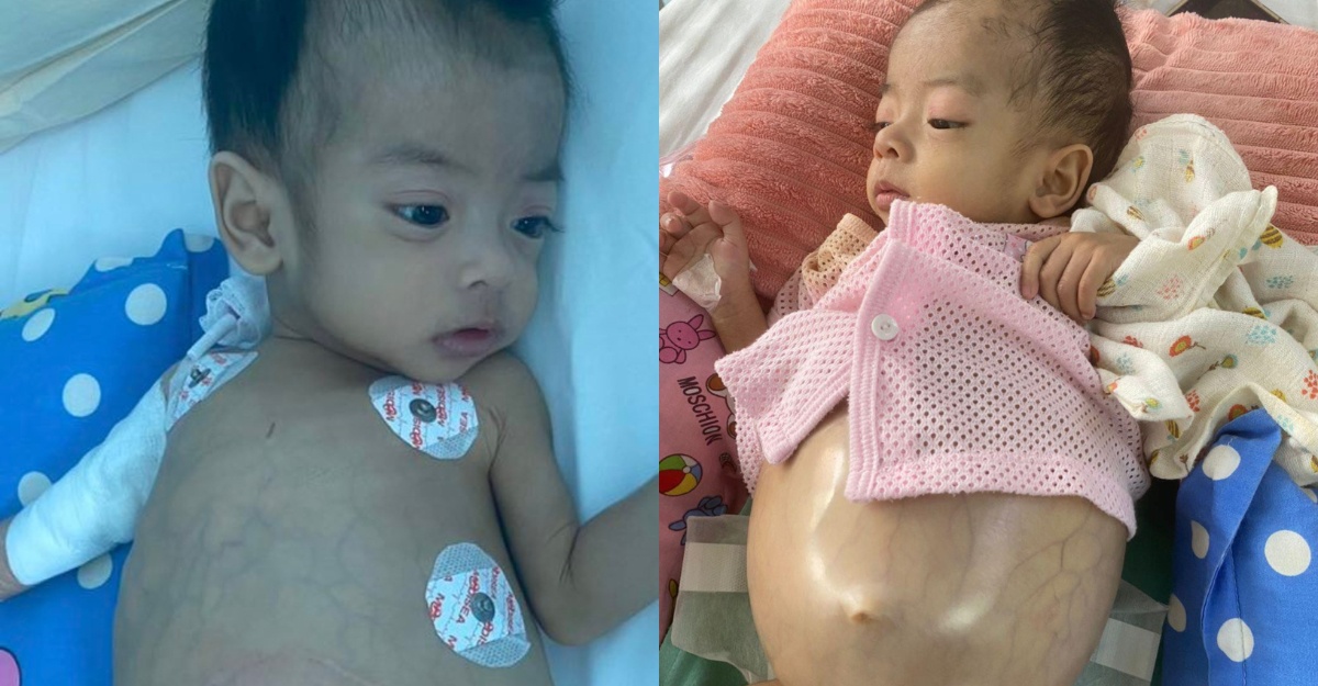 Bantuan Anggun Eshal
