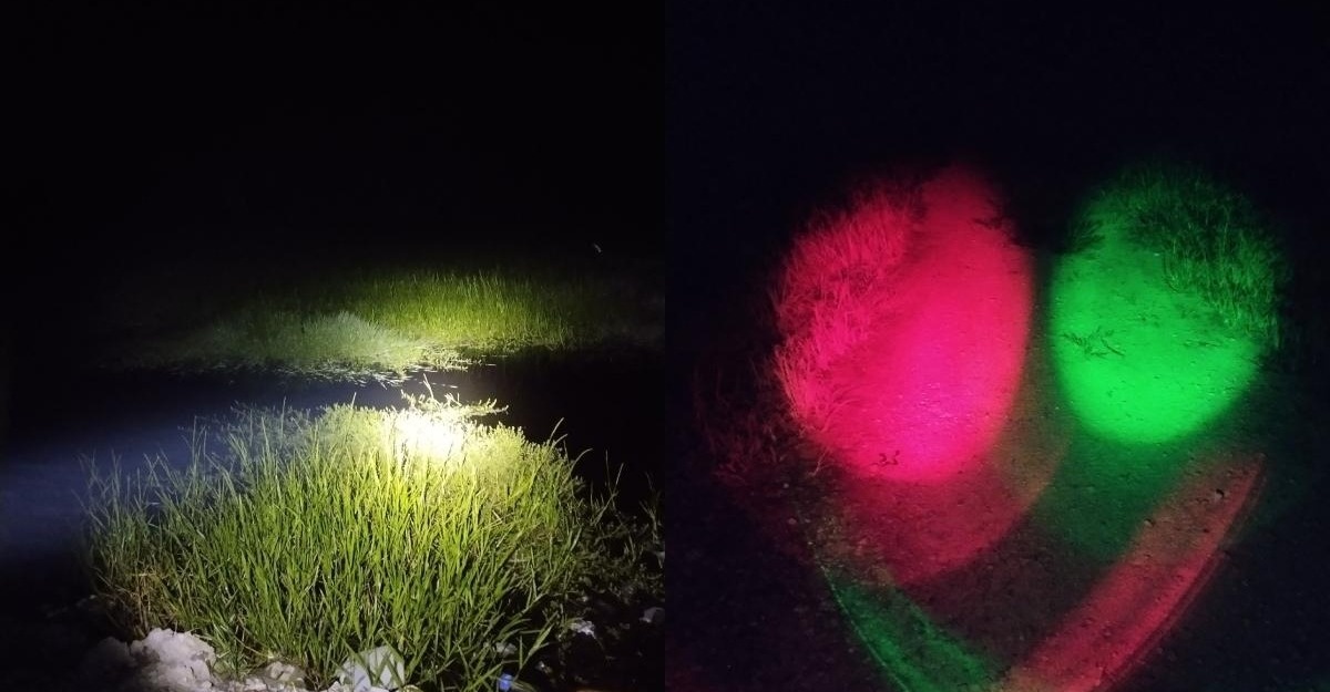 Jenis Lampu Ketika Malam