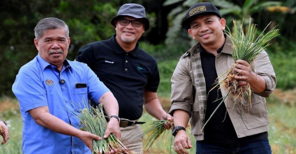 projek penanaman bawang