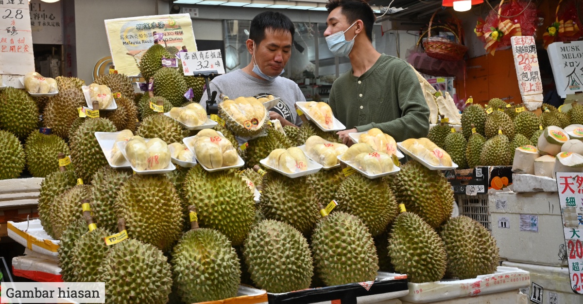 eksport durian vietnam
