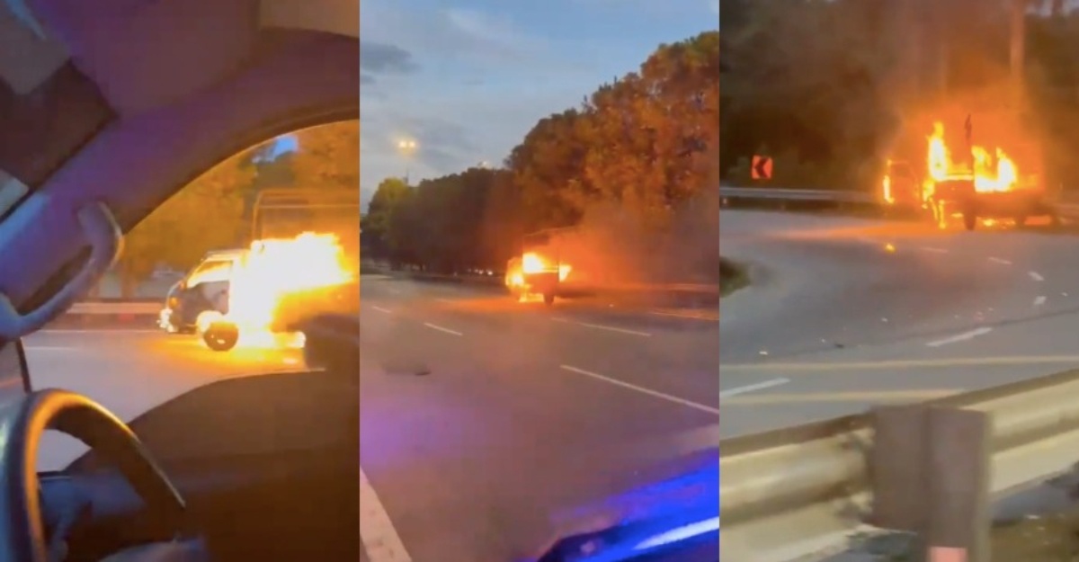 tular lori terbakar