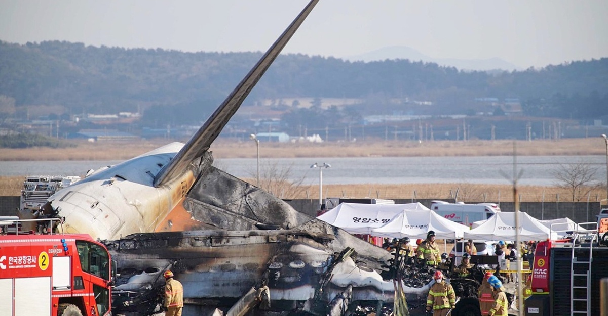 bulu burung nahas pesawat