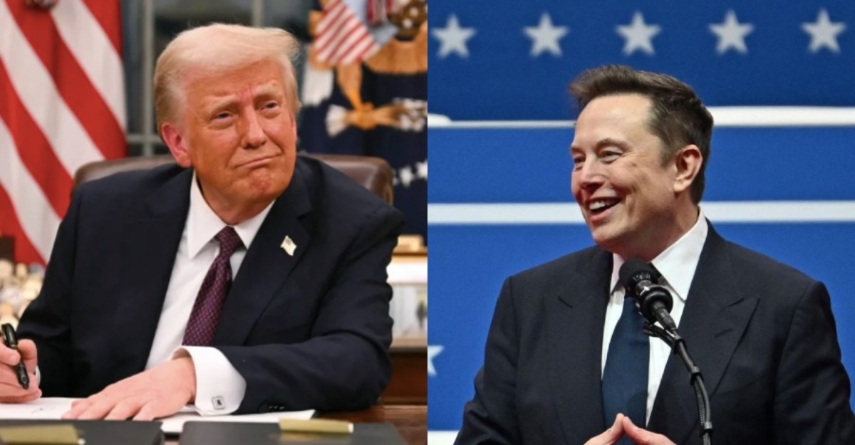 elon musk tiktok