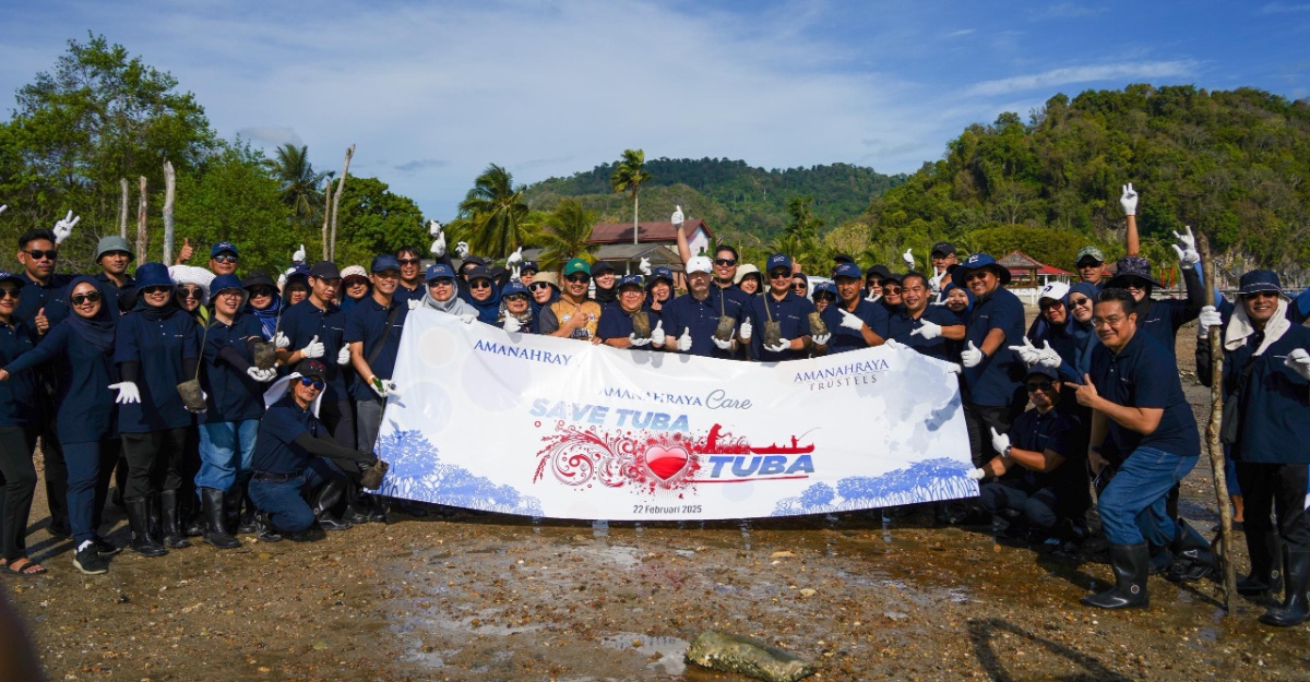bakau pulau tuba
