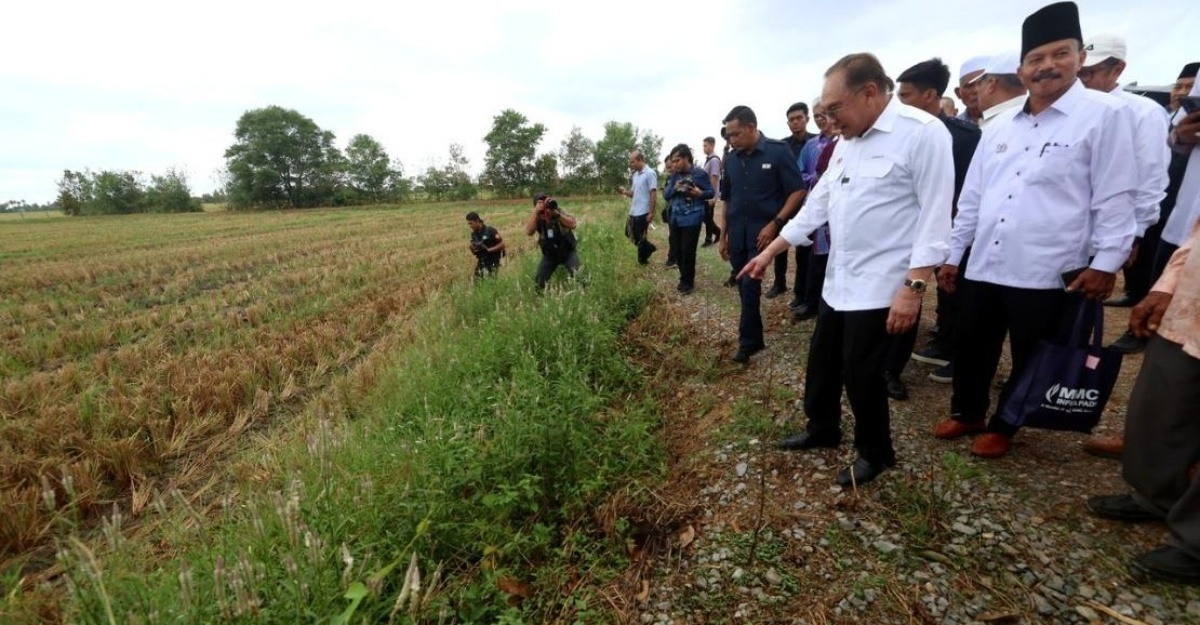 kelemahan sistem pengairan