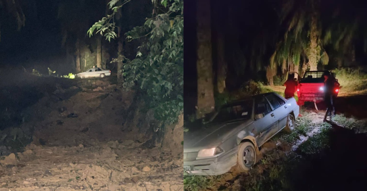 ladang sawit berhantu