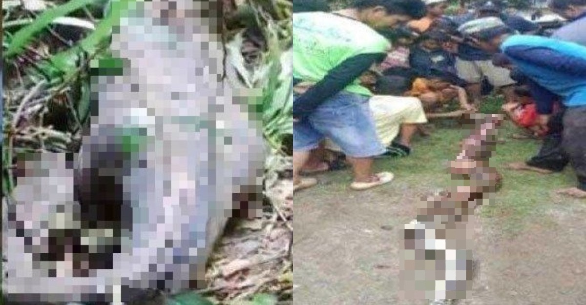 wanita maut ular sawa