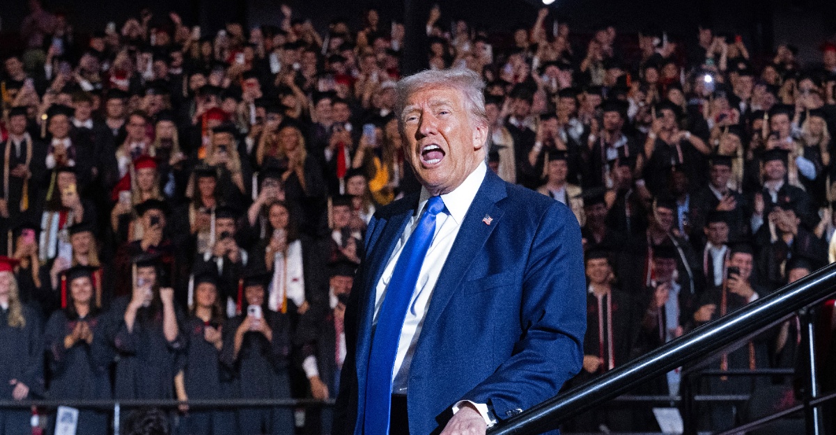 trump tarif filem