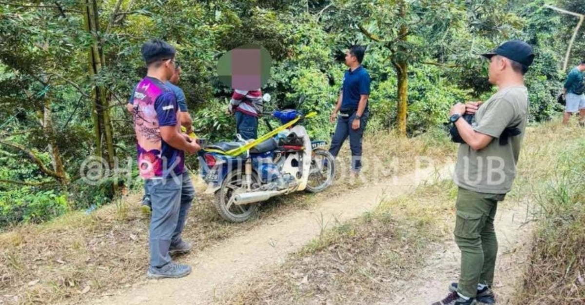 Hutan Simpan Rotan Tunggal