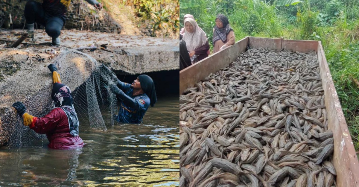 2.16 Tan Ikan Asing Berjaya Ditangkap