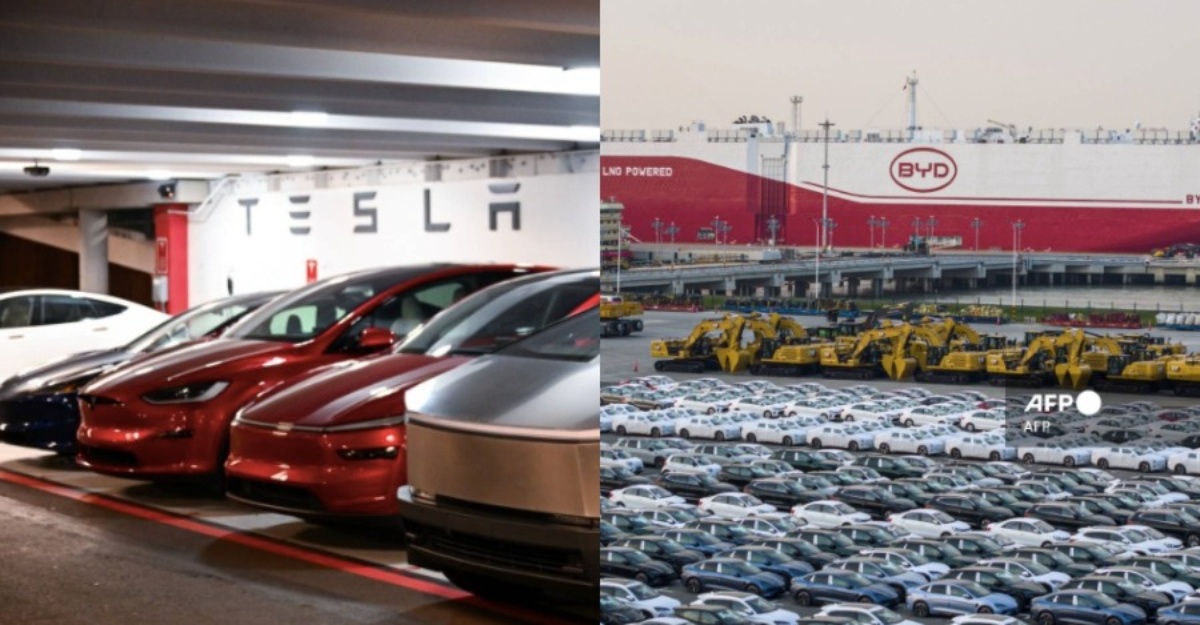 byd tesla eropah