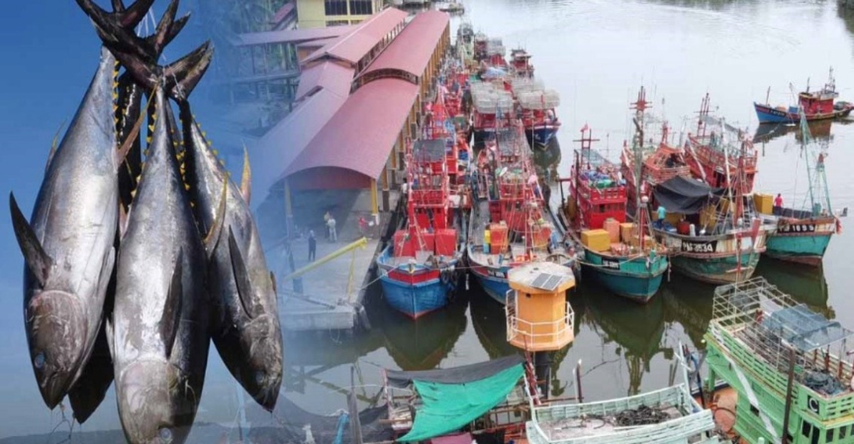 hasil perikanan laut