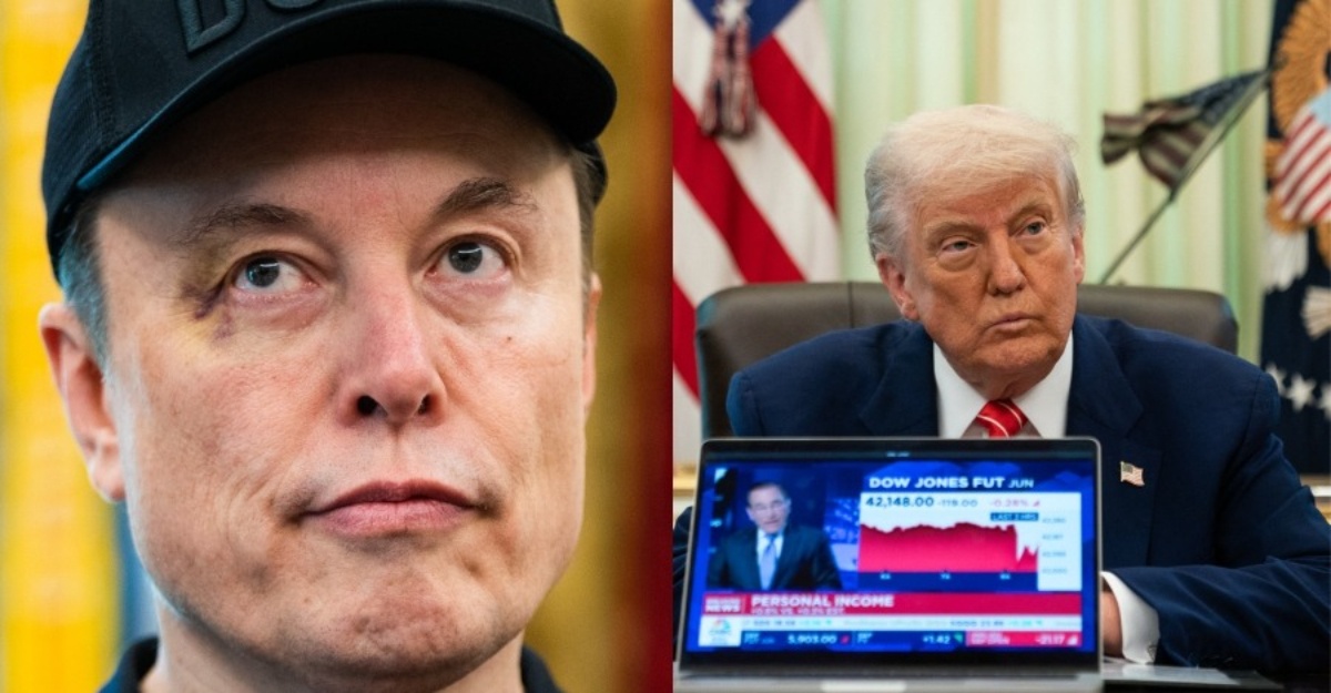 elon musk trump