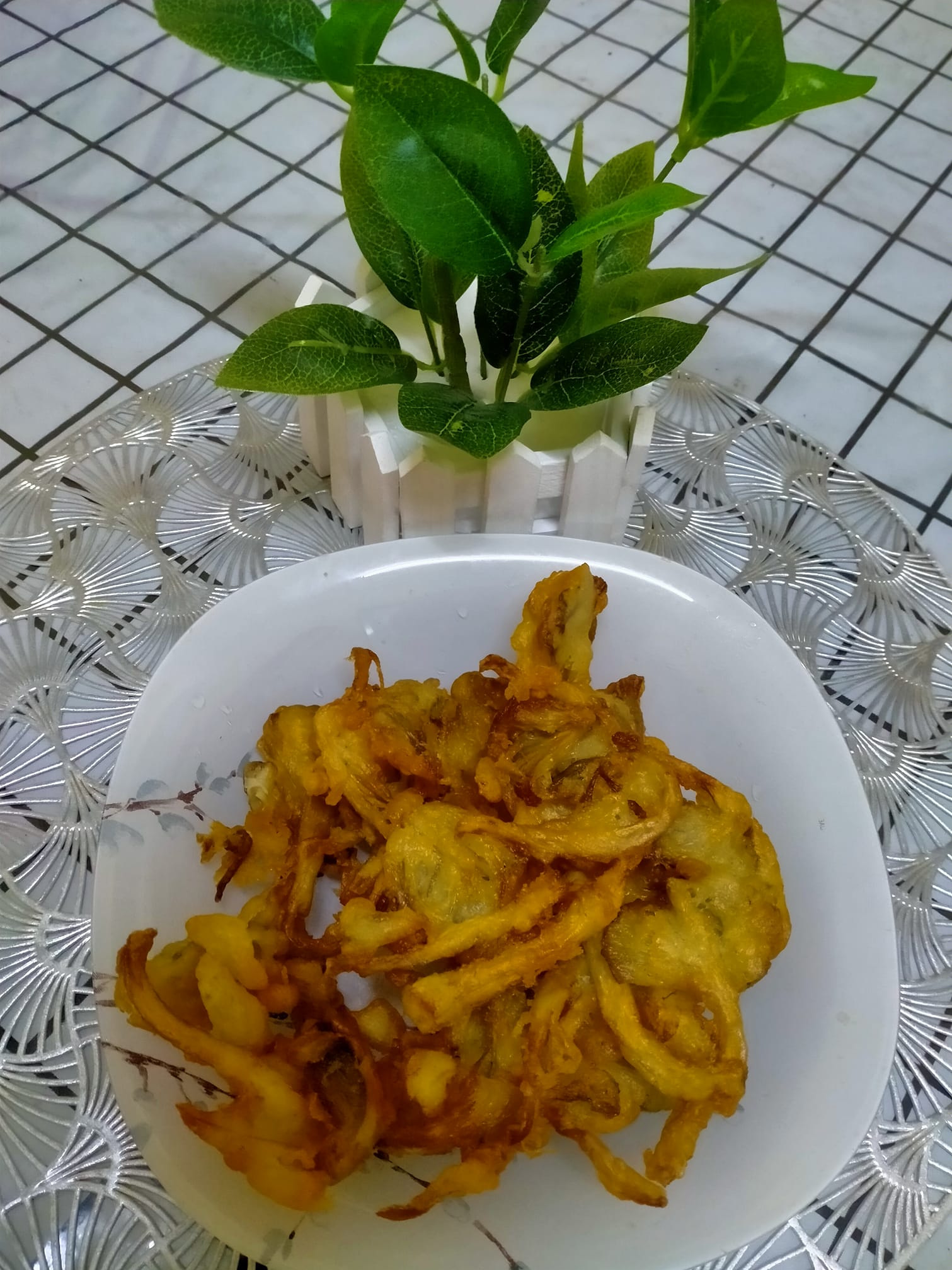 cara tanam cendawan tiram