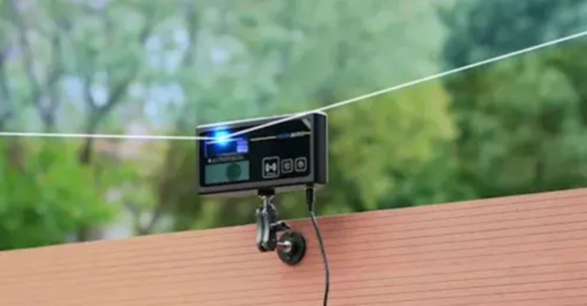 laser pintar hapus nyamuk