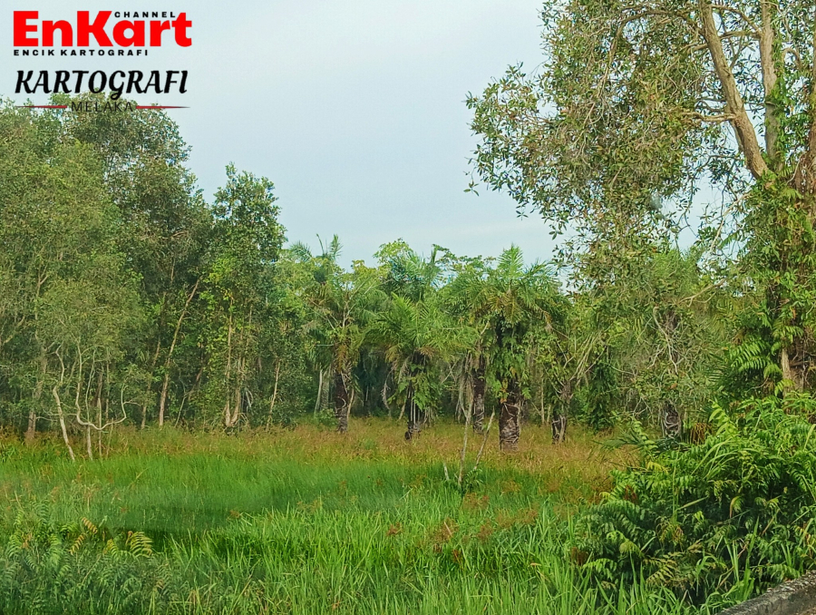 peta lama pulau terus