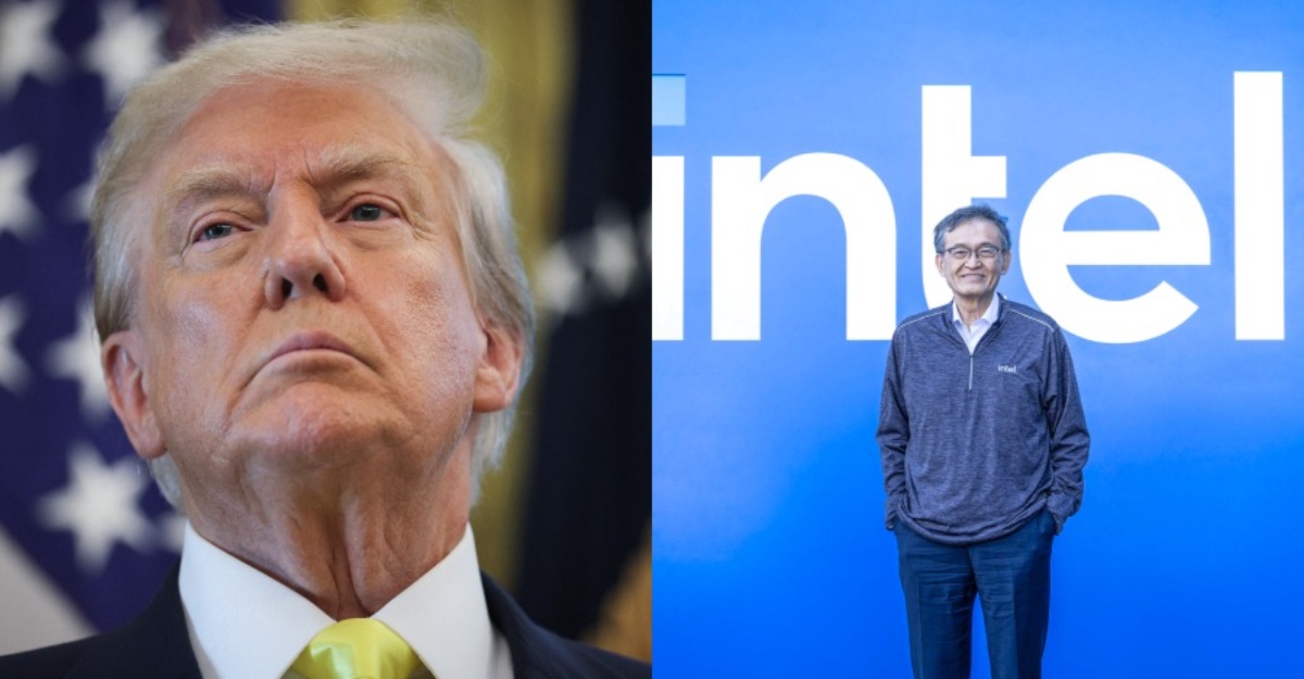 Trump ceo intel