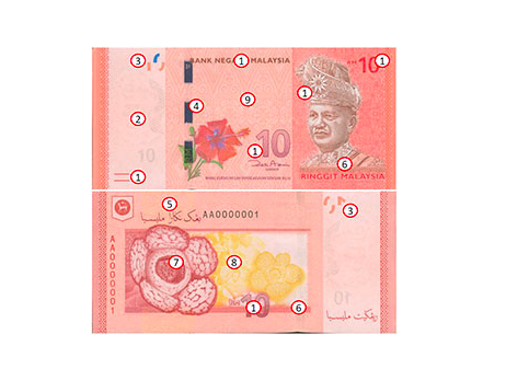 Paper money design