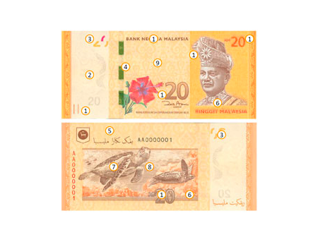 Paper money design