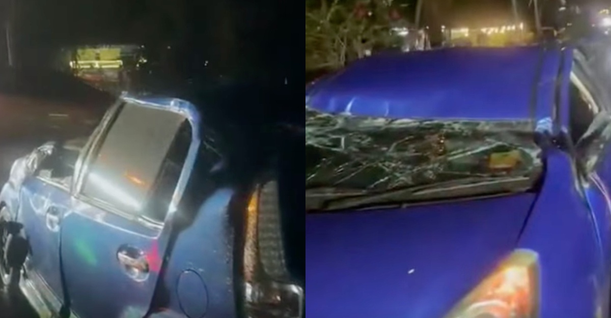 pokok tumbang klang